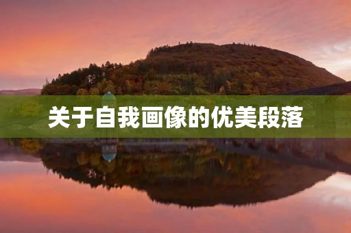 关于自我画像的优美段落 关于自我画像的优美段落