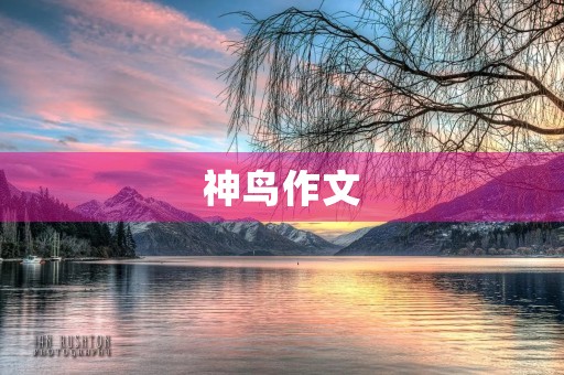神鸟作文 神鸟作文