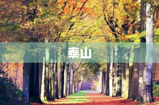 泰山 泰山