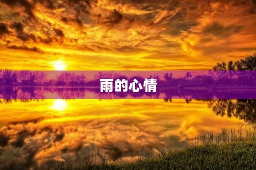 雨的心情 雨的心情