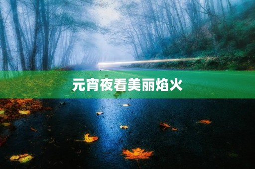 元宵夜看美丽焰火 元宵夜看美丽焰火