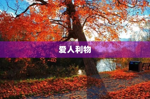爱人利物