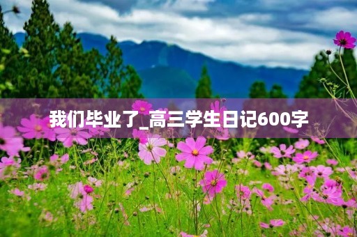 我们毕业了_高三学生日记600字