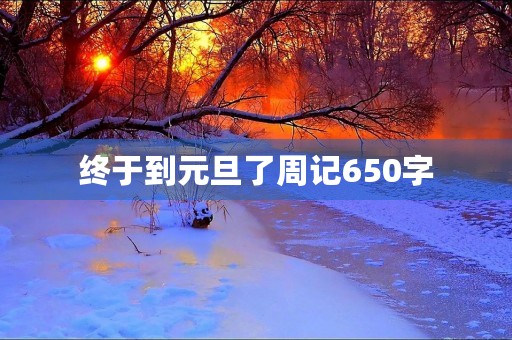 终于到元旦了周记650字 终于到元旦了周记650字