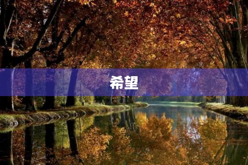 希望