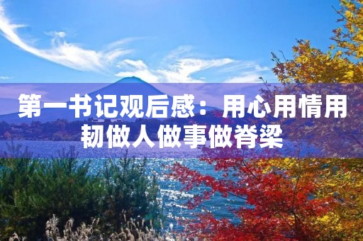第一书记观后感：用心用情用韧做人做事做脊梁