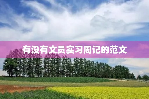 有没有文员实习周记的范文