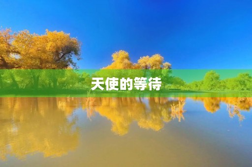 天使的等待
