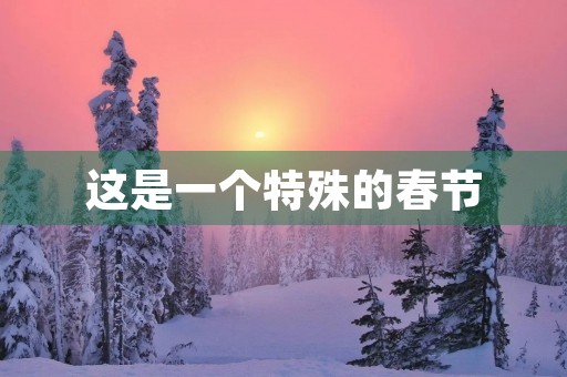 这是一个特殊的春节 这是一个特殊的春节
