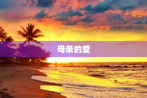 母亲的爱