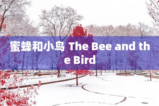 蜜蜂和小鸟 The Bee and the Bird
