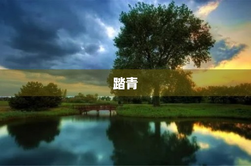 踏青