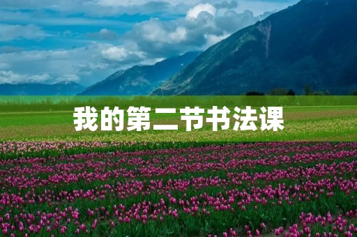 我的第二节书法课
