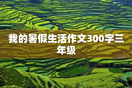 我的暑假生活作文300字三年级 我的暑假生活作文300字三年级