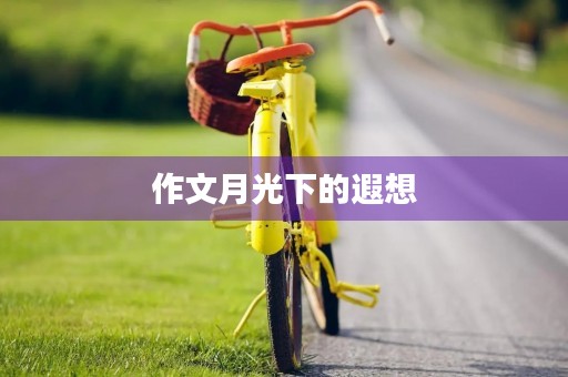 作文月光下的遐想 作文月光下的遐想