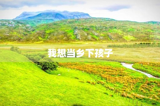 我想当乡下孩子 我想当乡下孩子