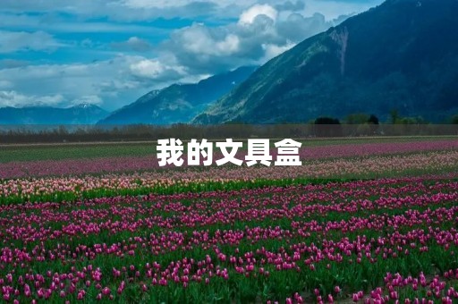 我的文具盒 我的文具盒