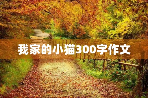 我家的小猫300字作文