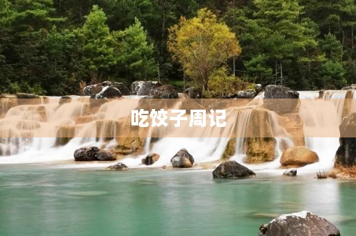 吃饺子周记