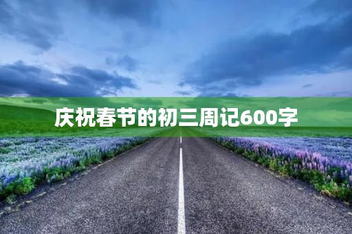 庆祝春节的初三周记600字 庆祝春节的初三周记600字