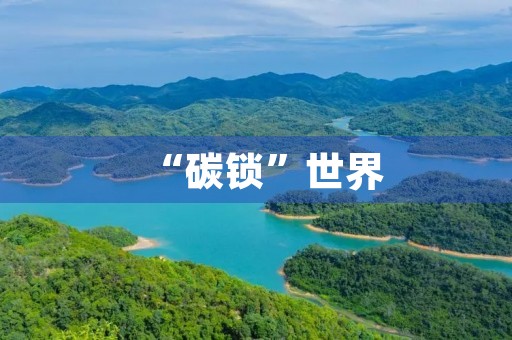 “碳锁”世界 “碳锁”世界