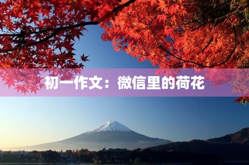 初一作文:微信里的荷花 初一作文:微信里的荷花