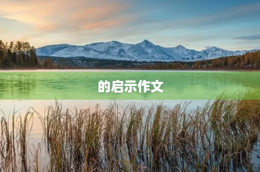 的启示作文 的启示作文