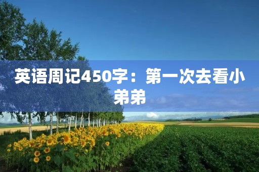 英语周记450字：第一次去看小弟弟