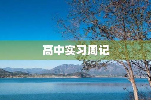 高中实习周记