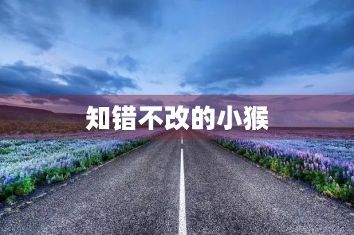 知错不改的小猴 知错不改的小猴