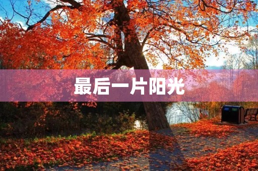 最后一片阳光
