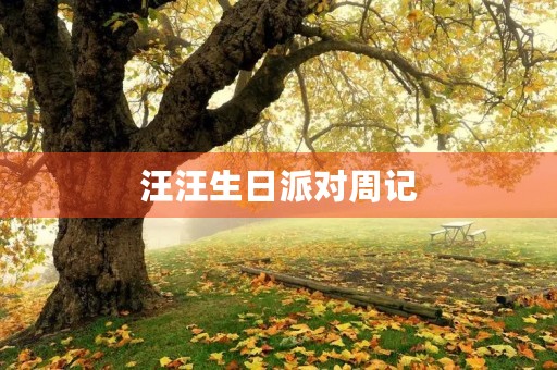 汪汪生日派对周记 汪汪生日派对周记