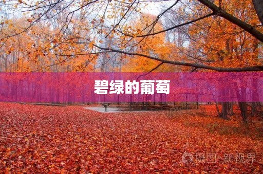 碧绿的葡萄 碧绿的葡萄