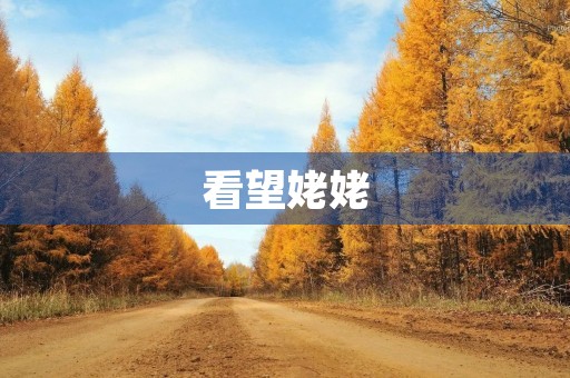 看望姥姥 看望姥姥