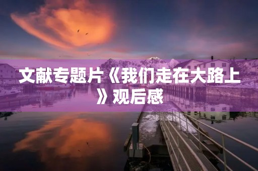 文献专题片《我们走在大路上》观后感