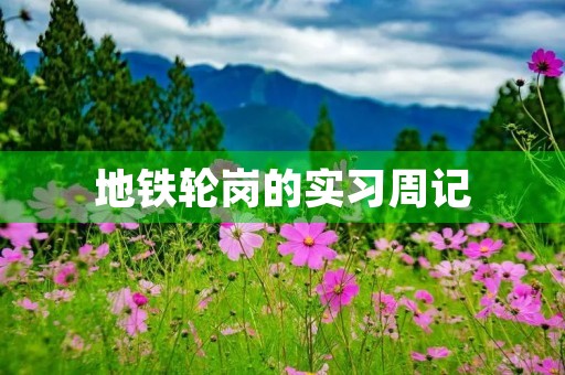 地铁轮岗的实习周记 地铁轮岗的实习周记