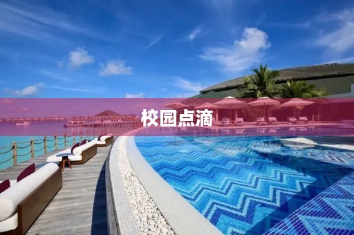 校园点滴 校园点滴