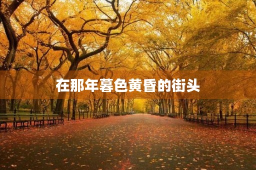 在那年暮色黄昏的街头 在那年暮色黄昏的街头