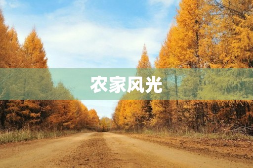 农家风光 农家风光
