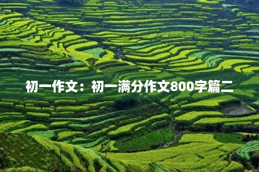初一作文：初一满分作文800字篇二