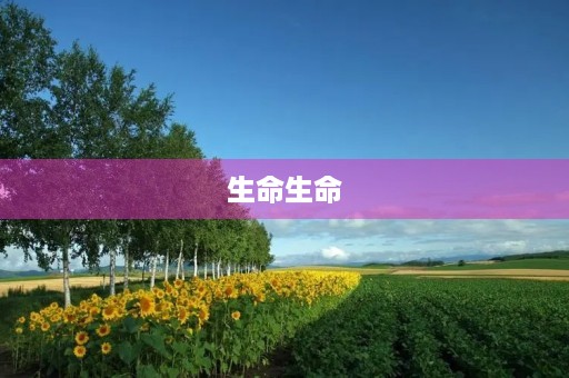 生命生命 生命生命