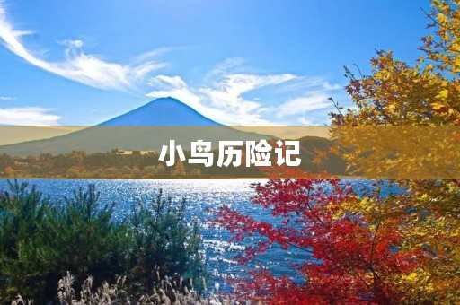 小鸟历险记 小鸟历险记