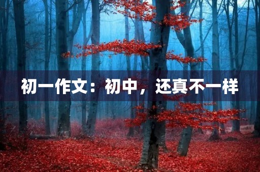 初一作文:初中,还真不一样 初一作文:初中,还真不一样