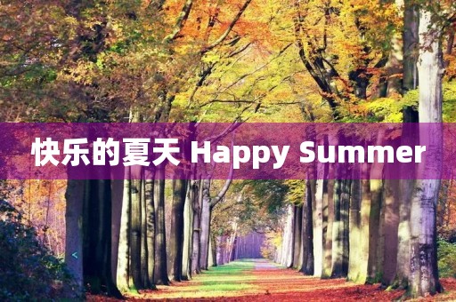 快乐的夏天 Happy Summer 快乐的夏天 Happy Summer