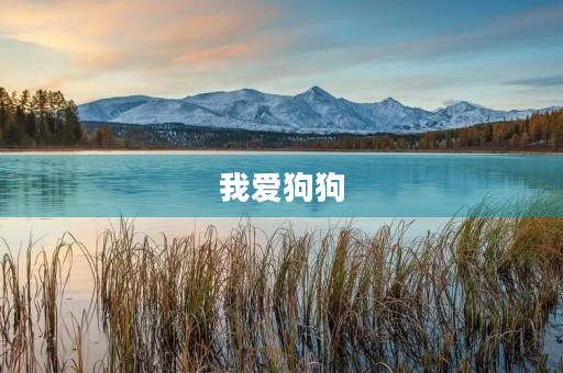 我爱狗狗 我爱狗狗
