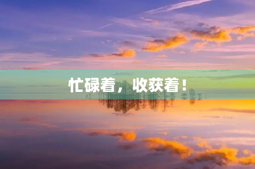 忙碌着,收获着! 忙碌着,收获着!
