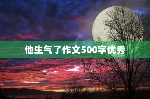 他生气了作文500字优秀