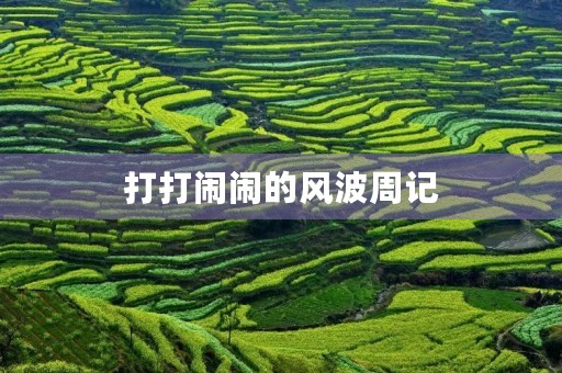 打打闹闹的风波周记 打打闹闹的风波周记