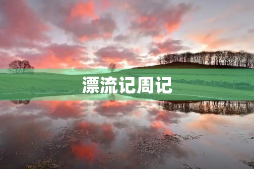 漂流记周记