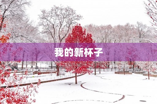 我的新杯子 我的新杯子